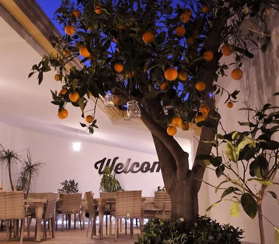 V&v & Breakfast Oda ve Kahvaltı 4*