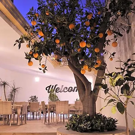 לינה וארוחת בוקר V&v & Breakfast 4*