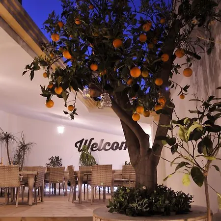 V&v & Breakfast Bed & Breakfast 4*